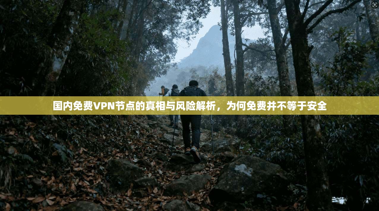 国内免费VPN节点的真相与风险解析，为何免费并不等于安全