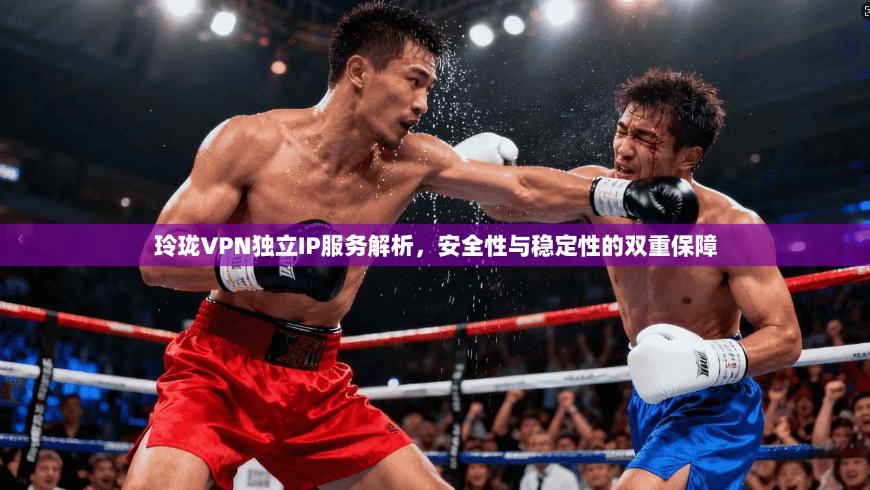 玲珑VPN独立IP服务解析，安全性与稳定性的双重保障