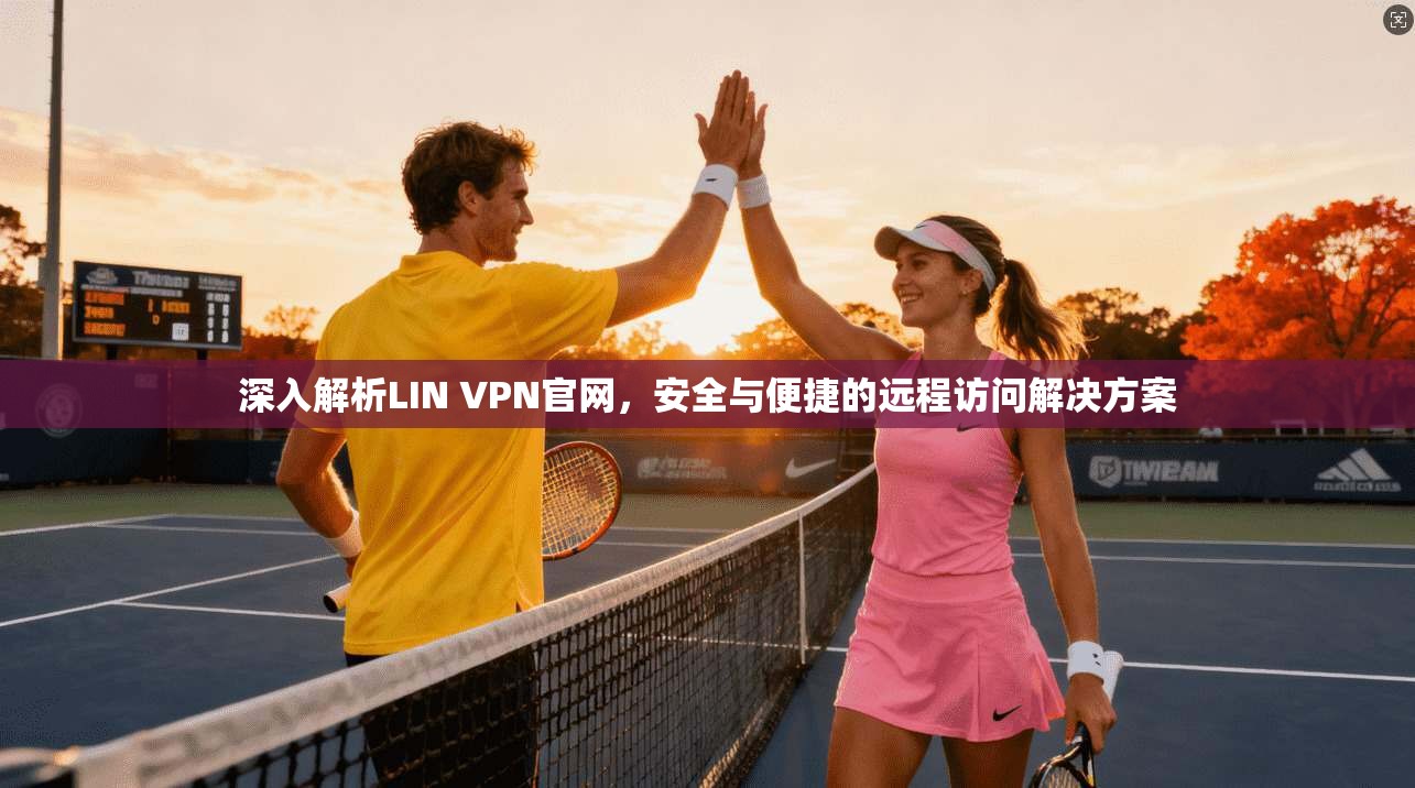 深入解析LIN VPN官网，安全与便捷的远程访问解决方案