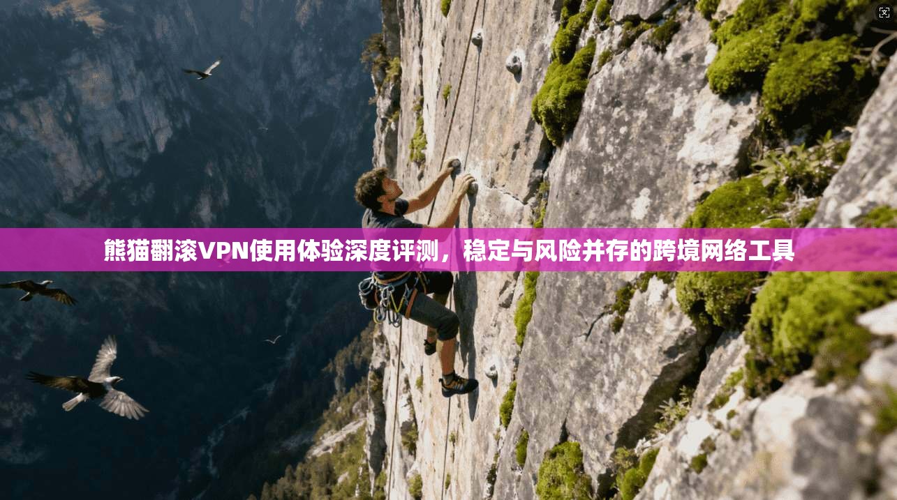 熊猫翻滚VPN使用体验深度评测，稳定与风险并存的跨境网络工具