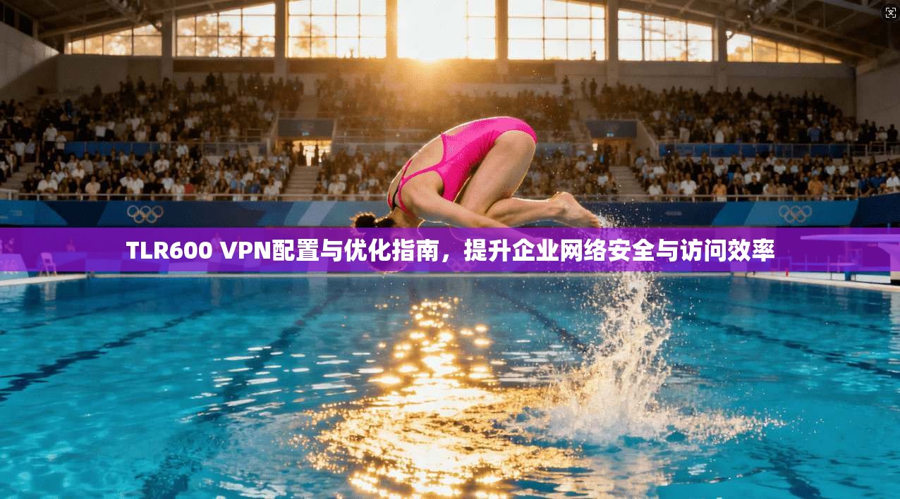 TLR600 VPN配置与优化指南，提升企业网络安全与访问效率