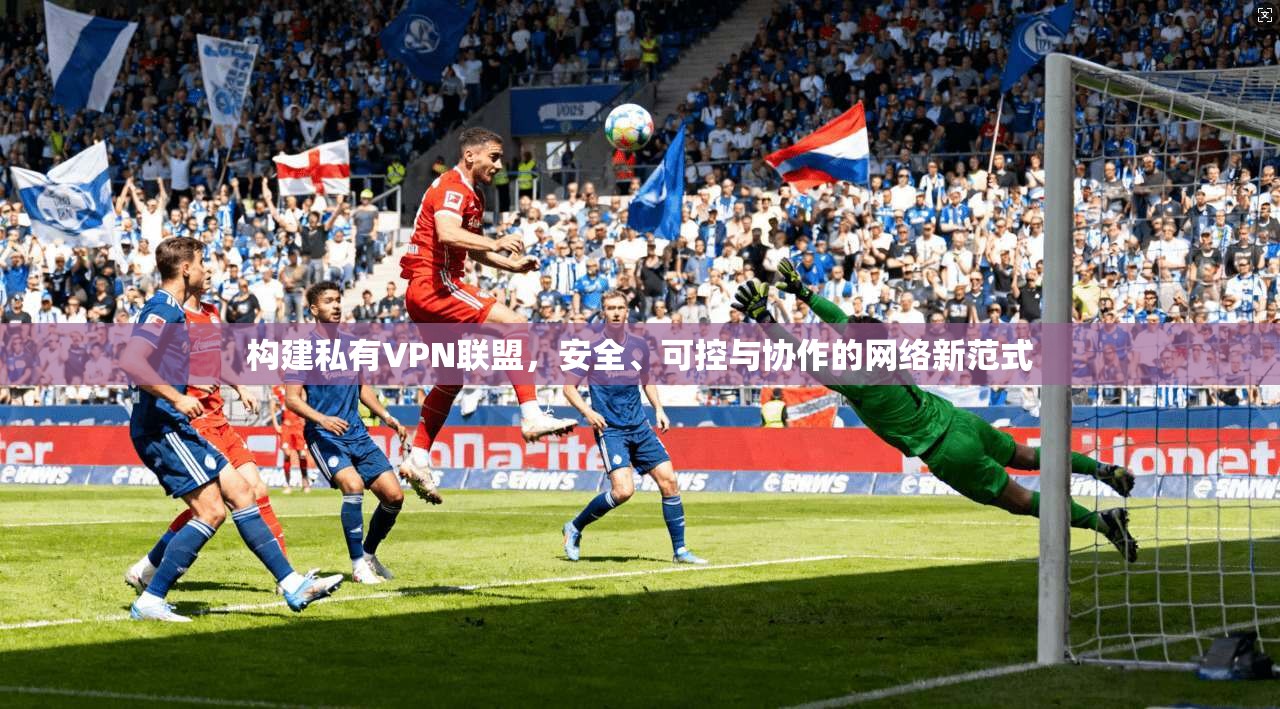 构建私有VPN联盟，安全、可控与协作的网络新范式