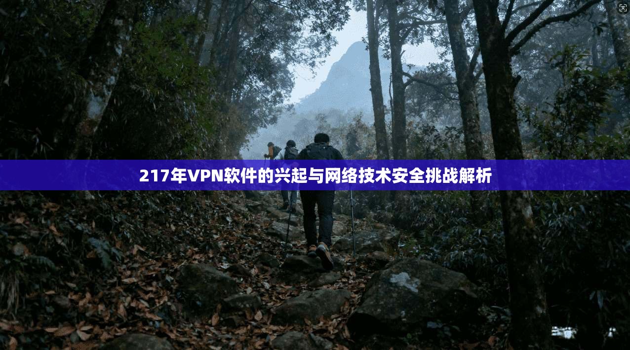 217年VPN软件的兴起与网络技术安全挑战解析