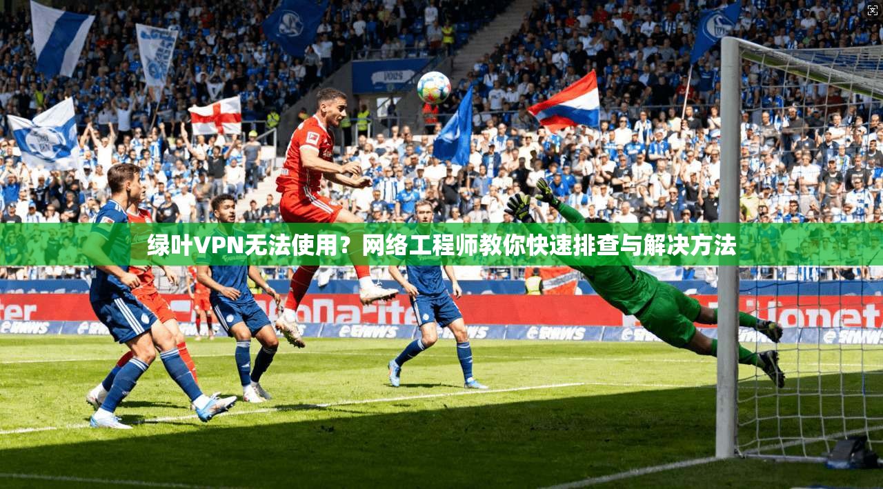 绿叶VPN无法使用？网络工程师教你快速排查与解决方法