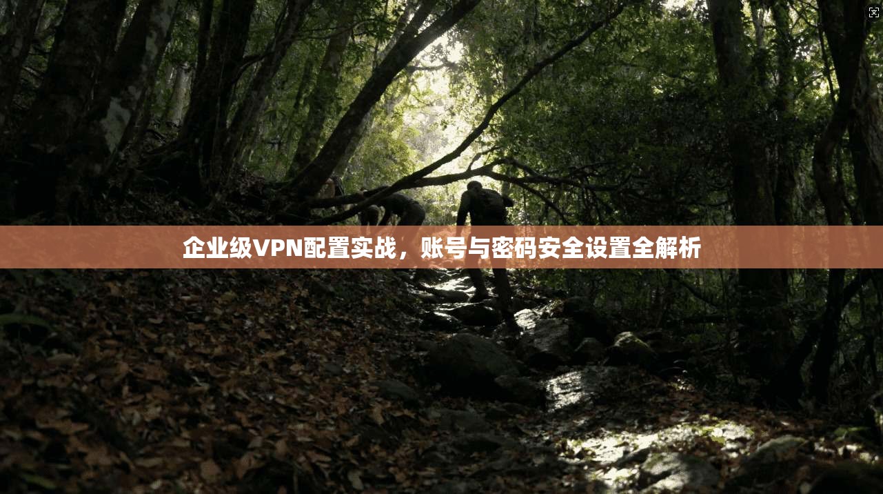 企业级VPN配置实战，账号与密码安全设置全解析