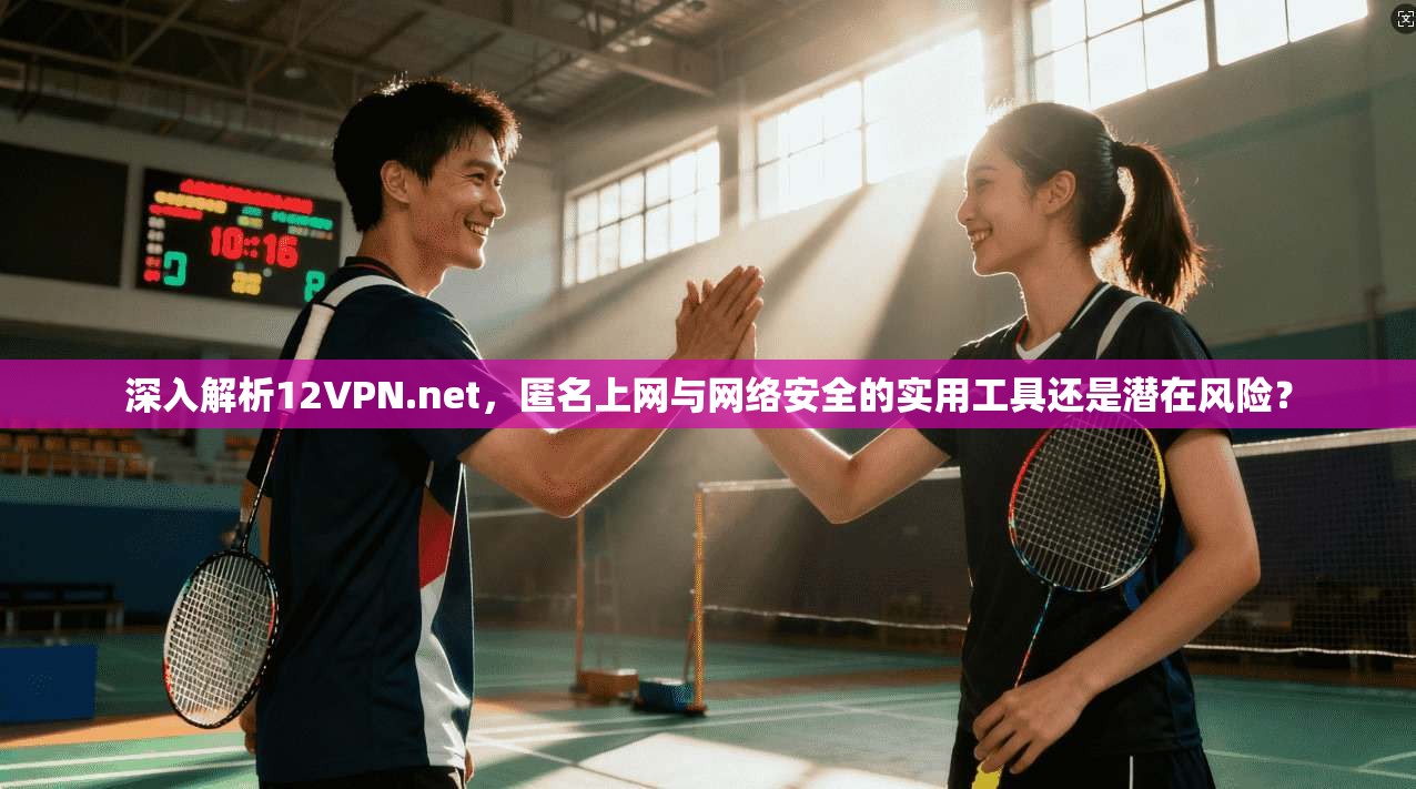 深入解析12VPN.net，匿名上网与网络安全的实用工具还是潜在风险？