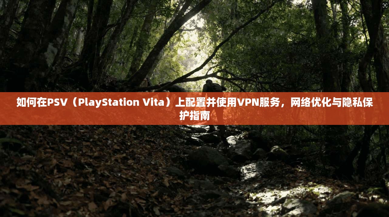 如何在PSV（PlayStation Vita）上配置并使用VPN服务，网络优化与隐私保护指南