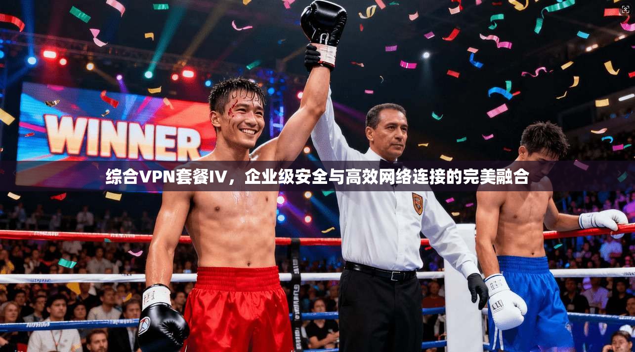 综合VPN套餐IV，企业级安全与高效网络连接的完美融合