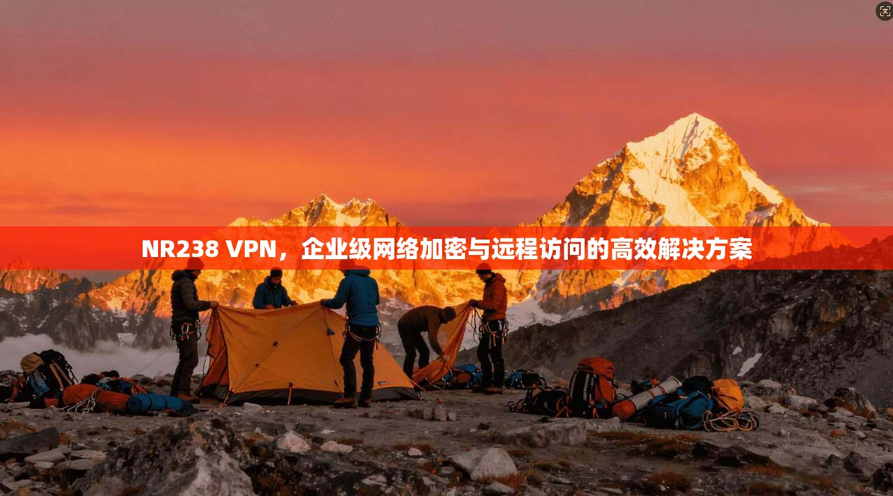 NR238 VPN，企业级网络加密与远程访问的高效解决方案