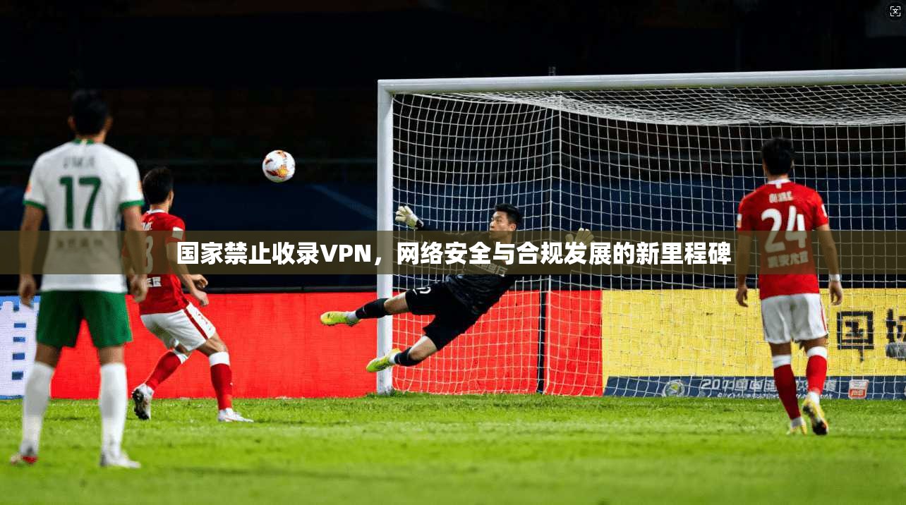 国家禁止收录VPN，网络安全与合规发展的新里程碑
