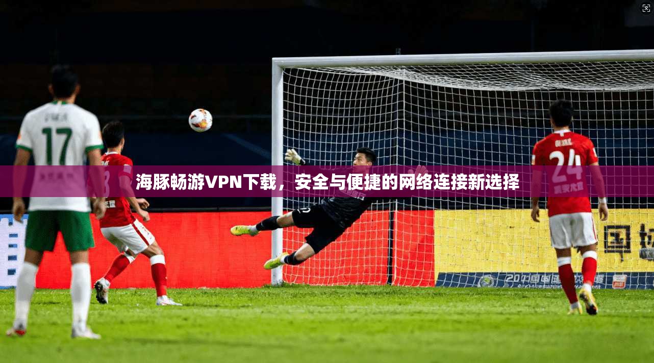 海豚畅游VPN下载，安全与便捷的网络连接新选择