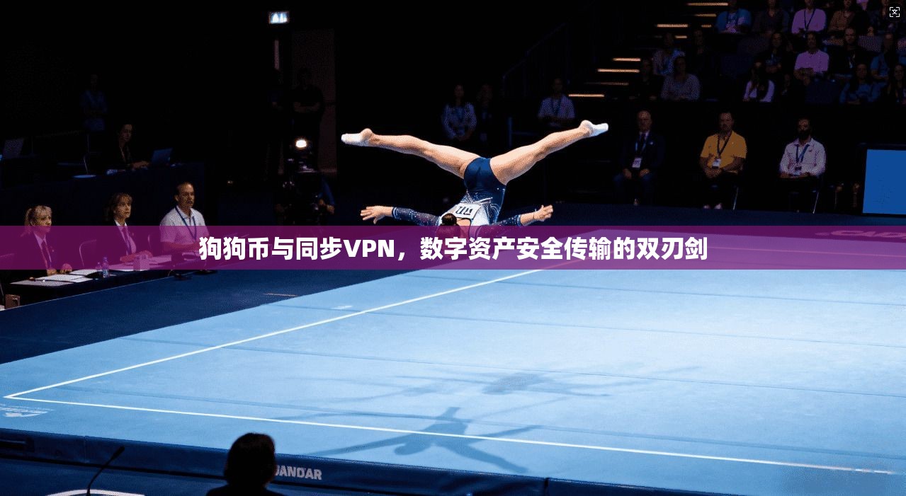 狗狗币与同步VPN，数字资产安全传输的双刃剑