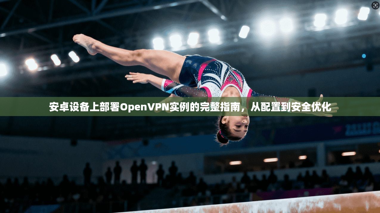 安卓设备上部署OpenVPN实例的完整指南，从配置到安全优化