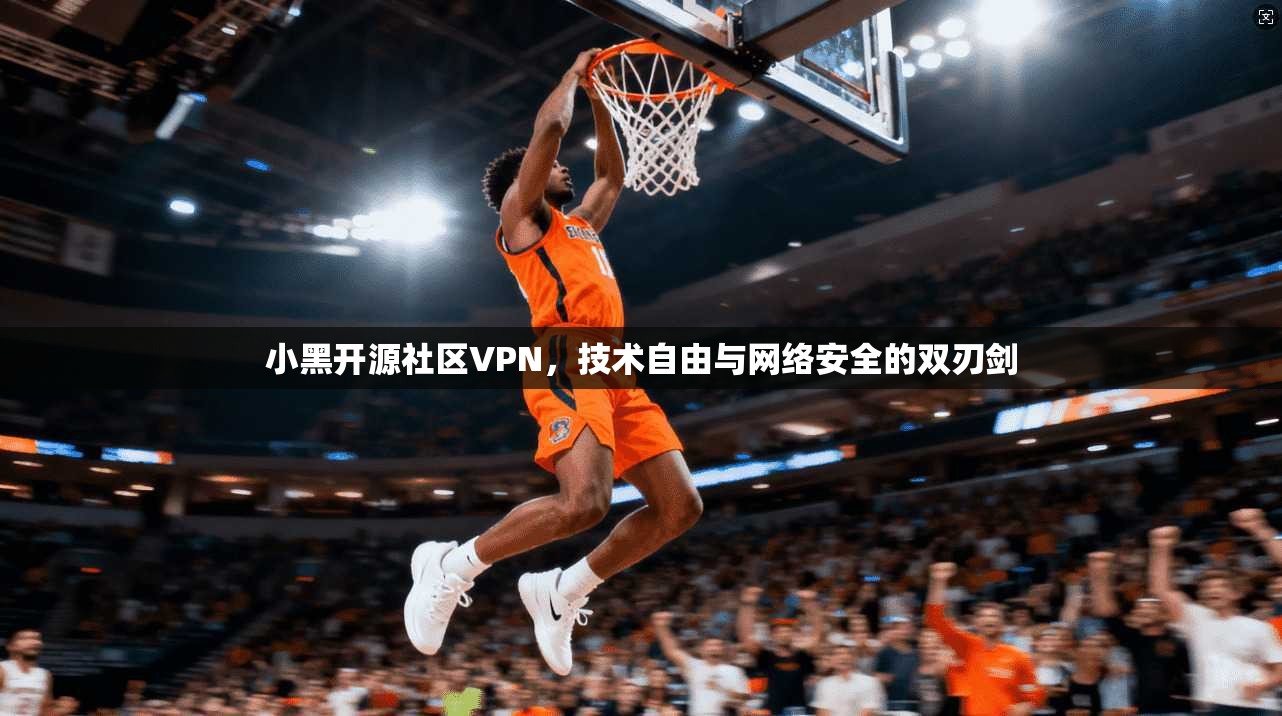 小黑开源社区VPN，技术自由与网络安全的双刃剑