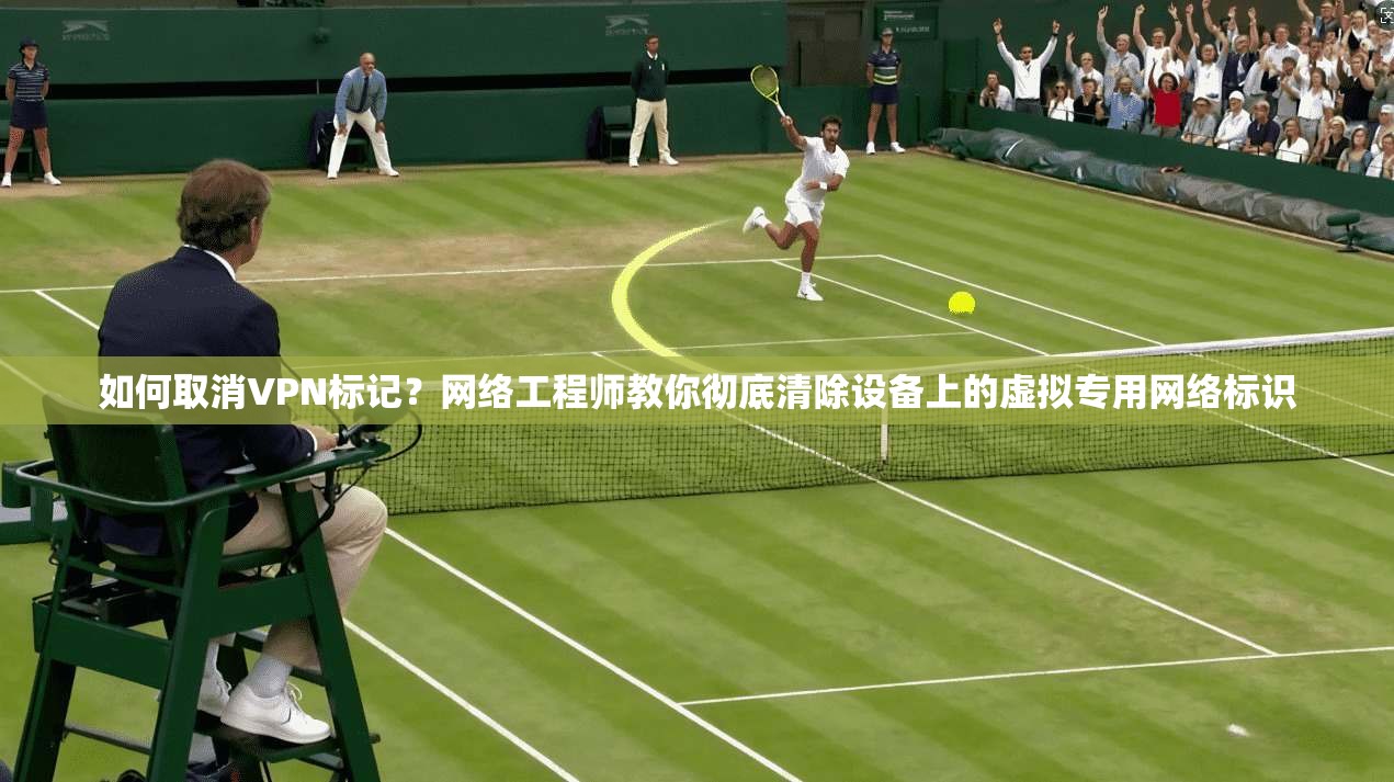 如何取消VPN标记？网络工程师教你彻底清除设备上的虚拟专用网络标识