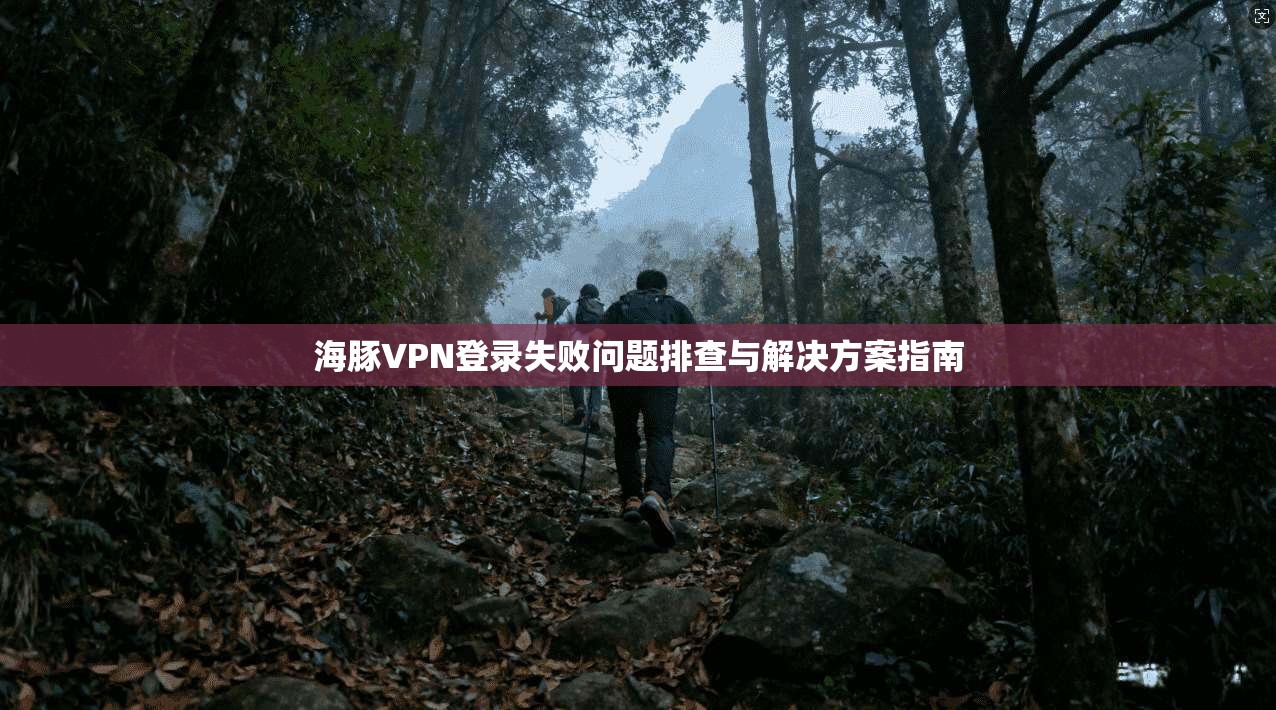 海豚VPN登录失败问题排查与解决方案指南