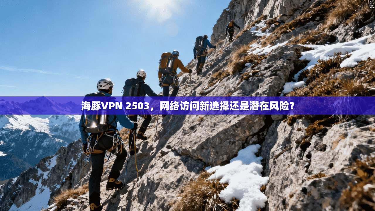 海豚VPN 2503，网络访问新选择还是潜在风险？