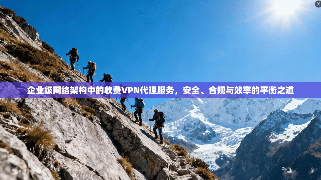 企业级网络架构中的收费VPN代理服务，安全、合规与效率的平衡之道