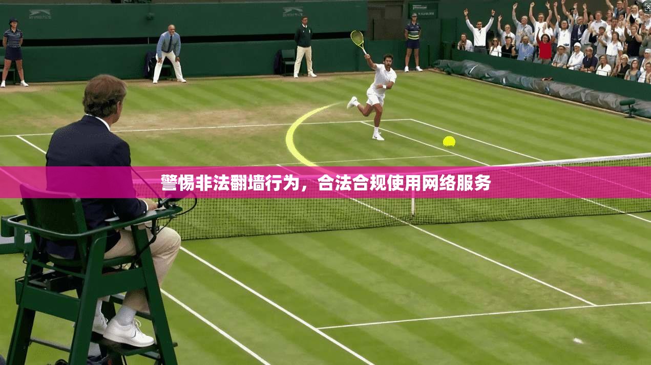 警惕非法翻墙行为，合法合规使用网络服务