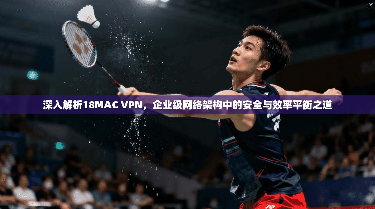 深入解析18MAC VPN，企业级网络架构中的安全与效率平衡之道