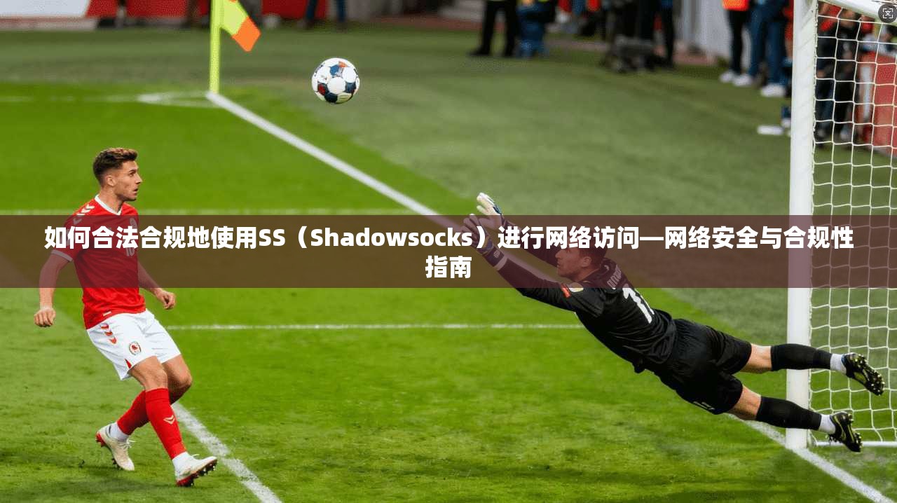 如何合法合规地使用SS（Shadowsocks）进行网络访问—网络安全与合规性指南