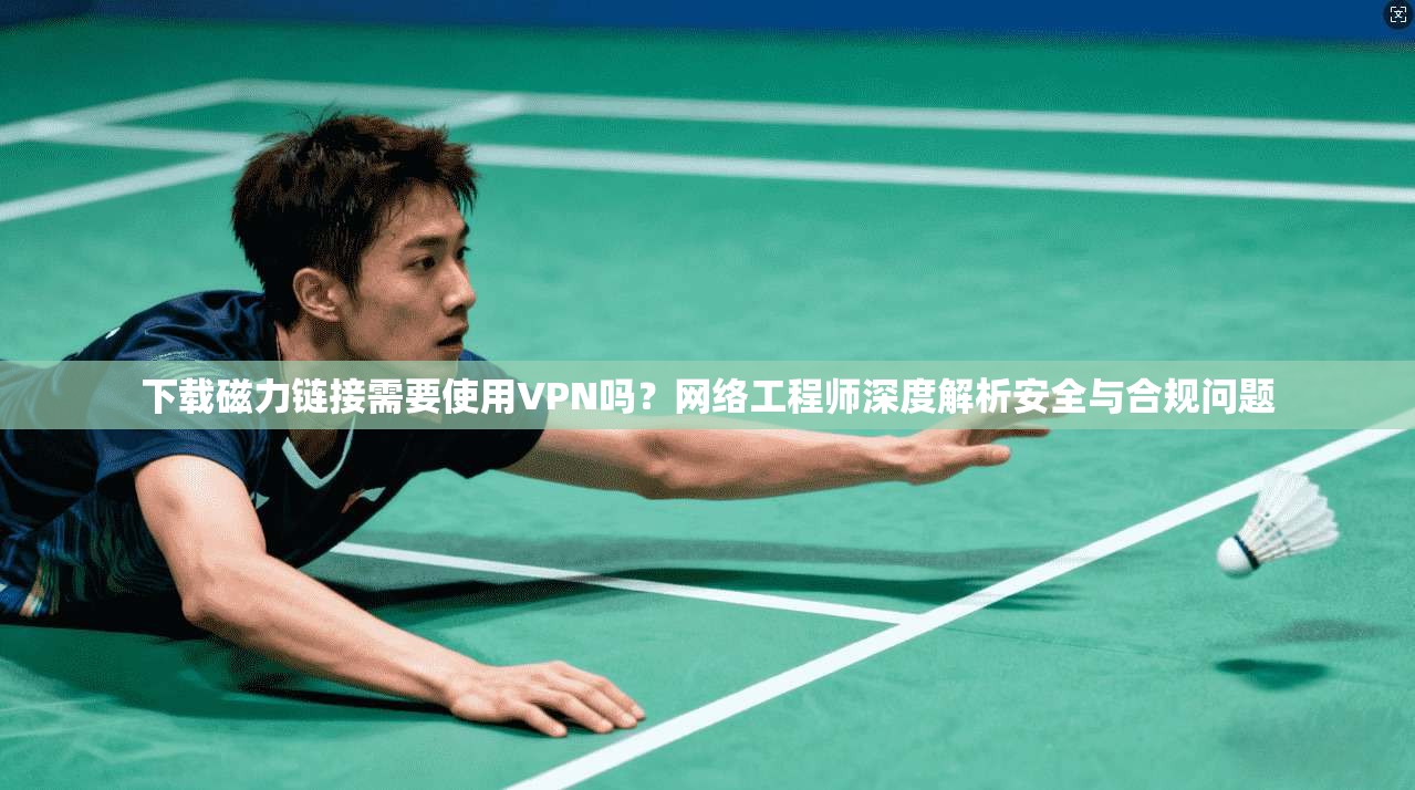 下载磁力链接需要使用VPN吗？网络工程师深度解析安全与合规问题
