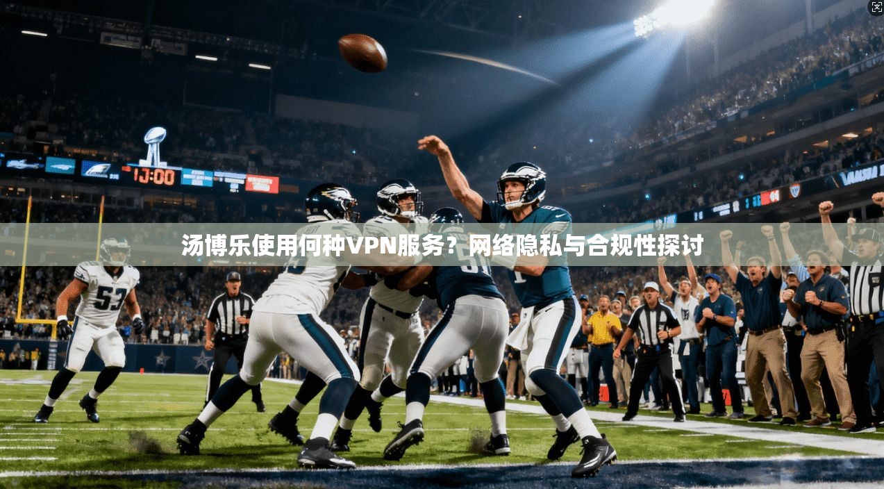 汤博乐使用何种VPN服务？网络隐私与合规性探讨
