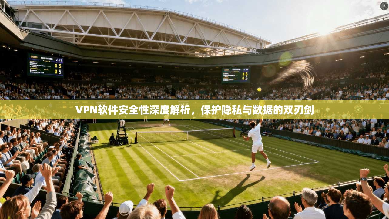 VPN软件安全性深度解析，保护隐私与数据的双刃剑