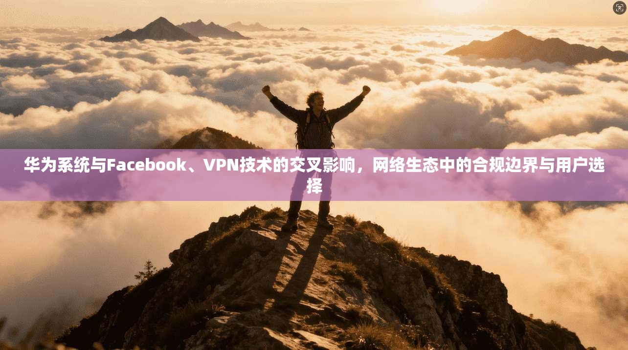 华为系统与Facebook、VPN技术的交叉影响，网络生态中的合规边界与用户选择
