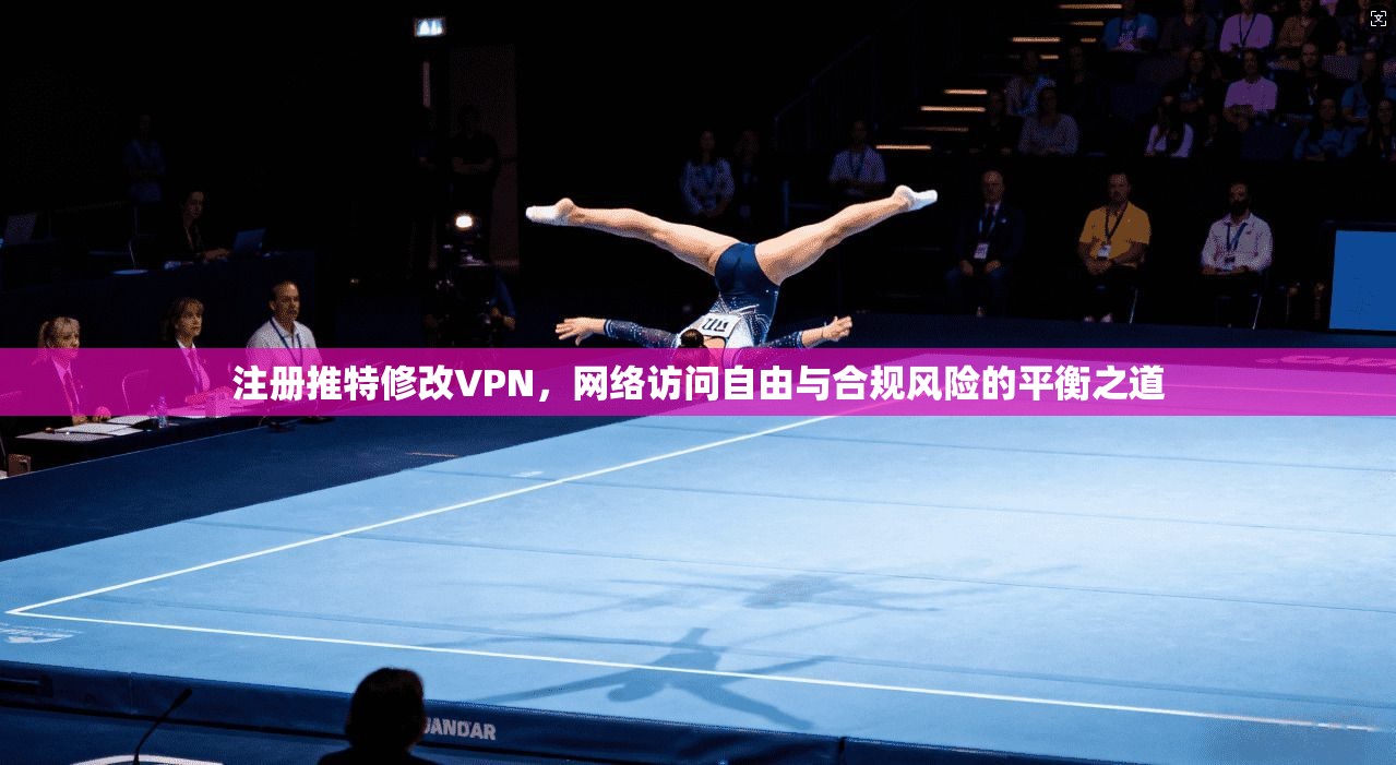 注册推特修改VPN，网络访问自由与合规风险的平衡之道