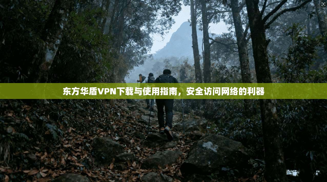 东方华盾VPN下载与使用指南，安全访问网络的利器