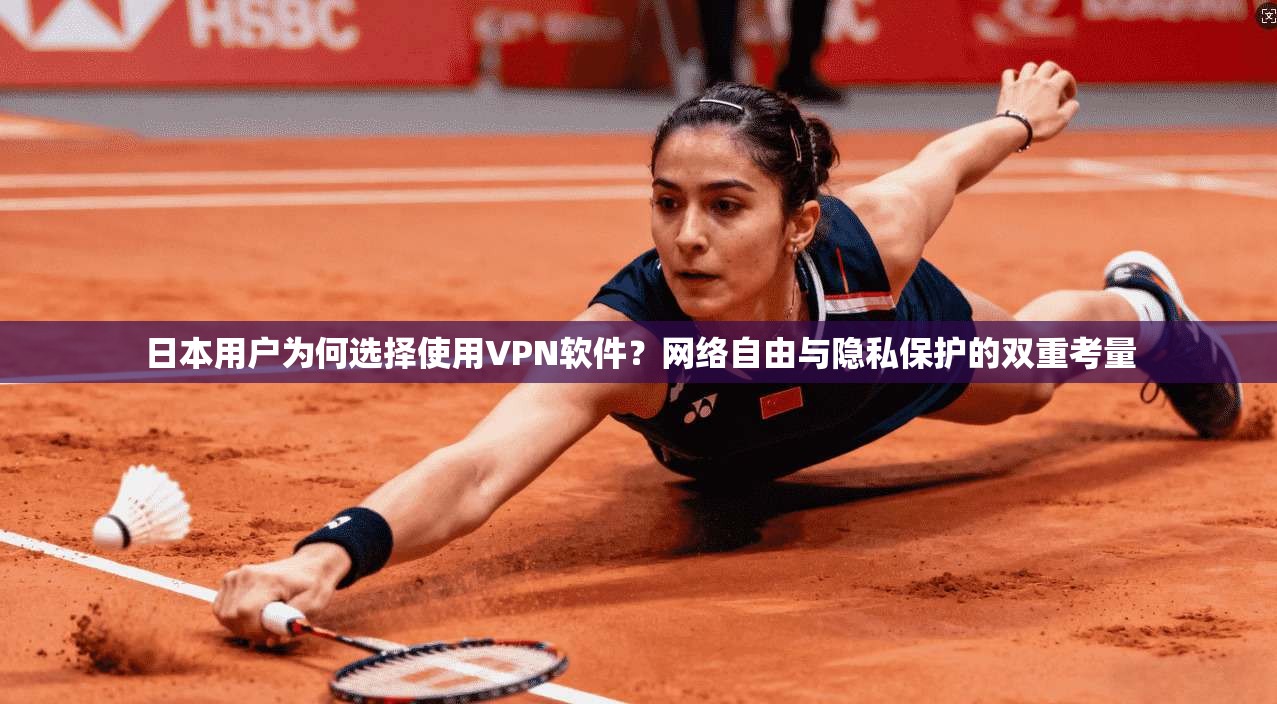 日本用户为何选择使用VPN软件？网络自由与隐私保护的双重考量