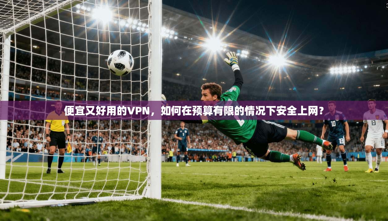 便宜又好用的VPN，如何在预算有限的情况下安全上网？