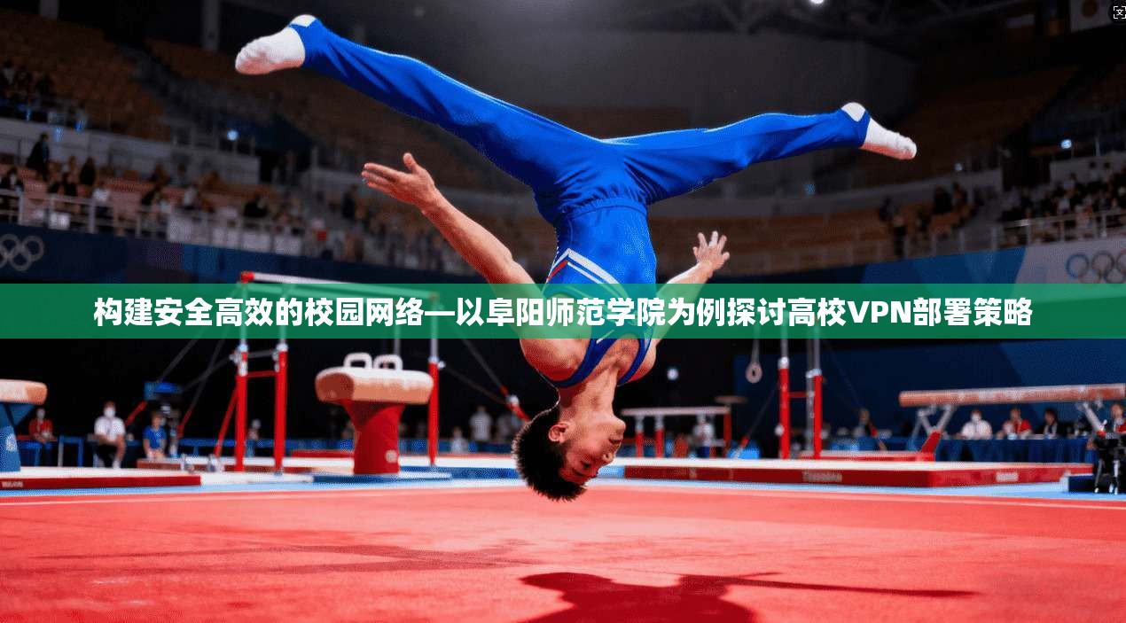 构建安全高效的校园网络—以阜阳师范学院为例探讨高校VPN部署策略