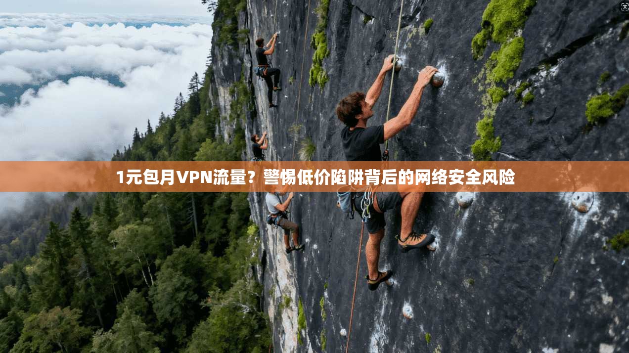 1元包月VPN流量？警惕低价陷阱背后的网络安全风险