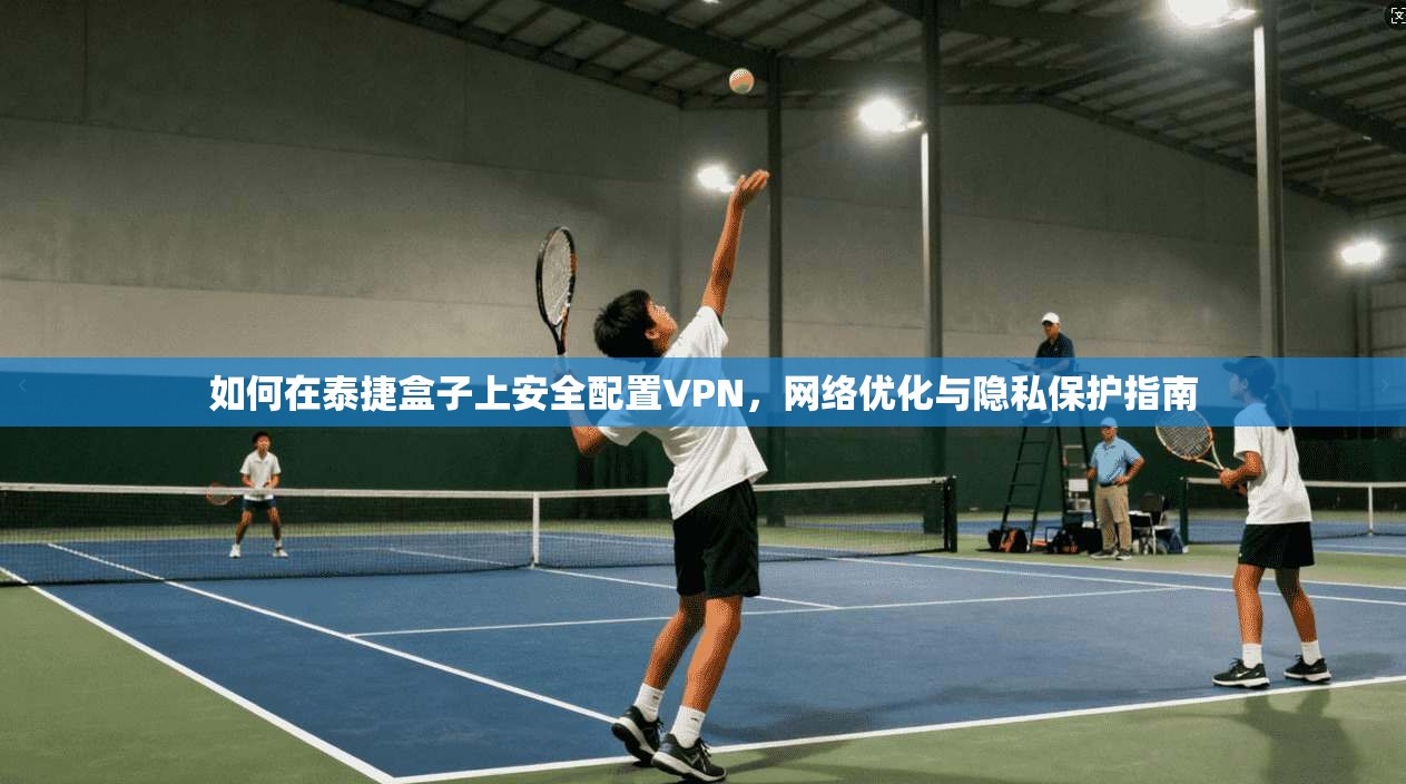 如何在泰捷盒子上安全配置VPN，网络优化与隐私保护指南