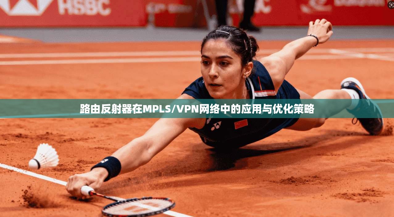 路由反射器在MPLS/VPN网络中的应用与优化策略