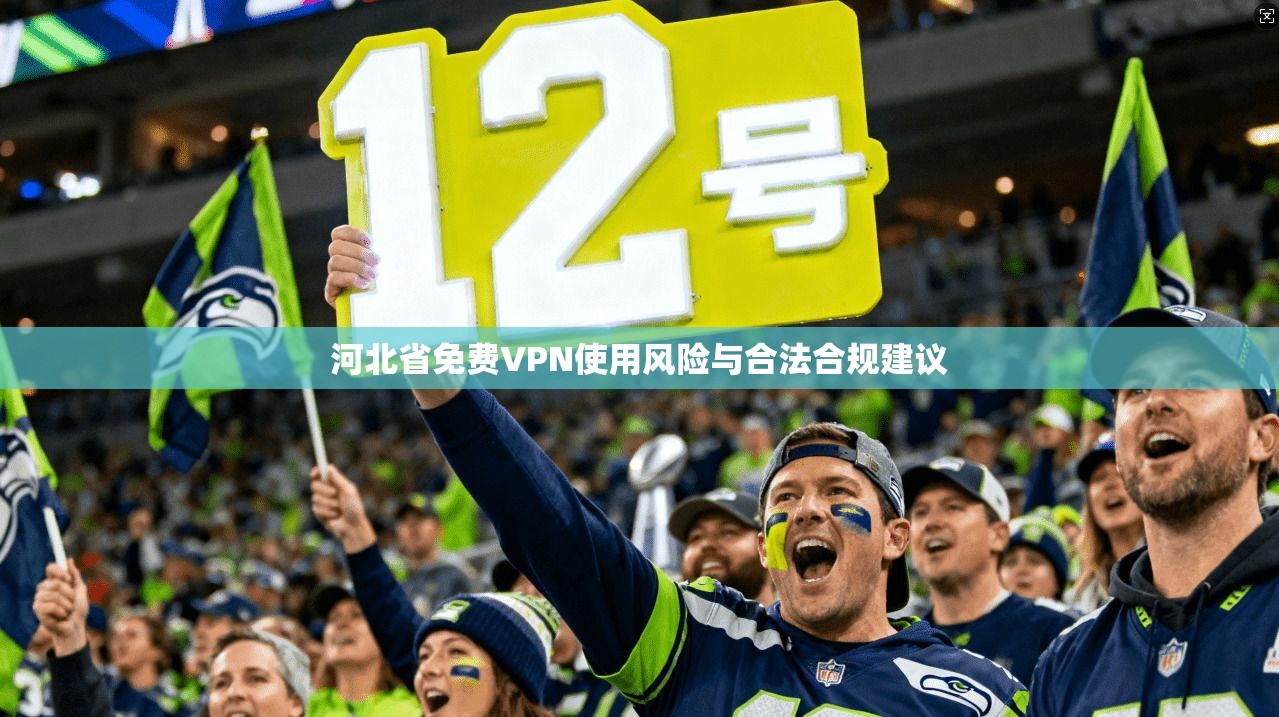 河北省免费VPN使用风险与合法合规建议