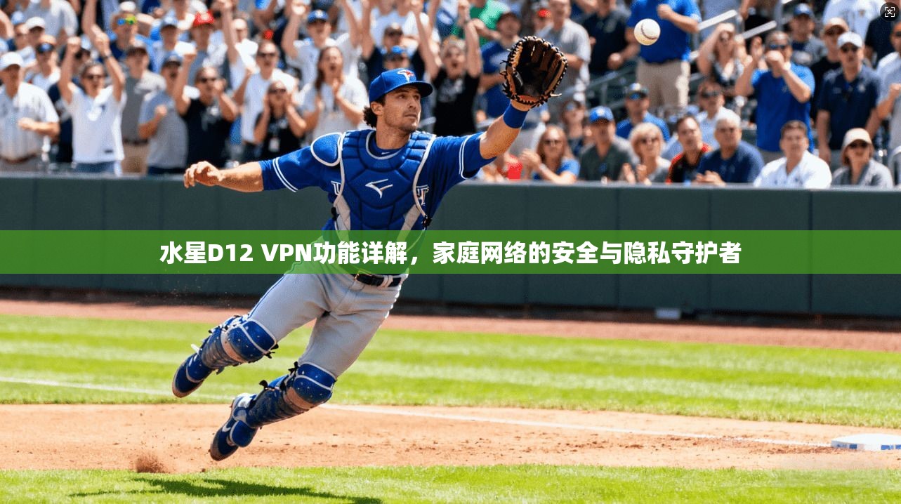 水星D12 VPN功能详解，家庭网络的安全与隐私守护者