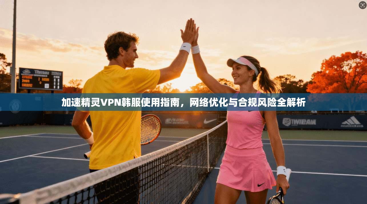加速精灵VPN韩服使用指南，网络优化与合规风险全解析