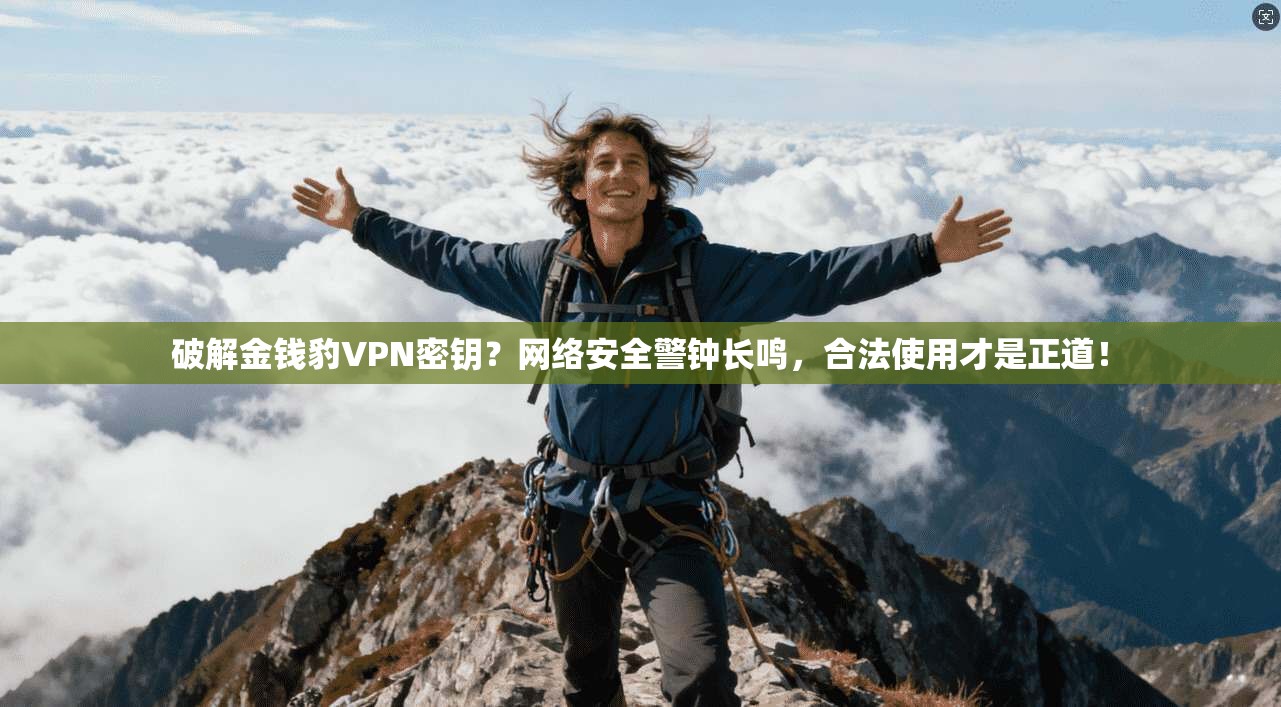 破解金钱豹VPN密钥？网络安全警钟长鸣，合法使用才是正道！