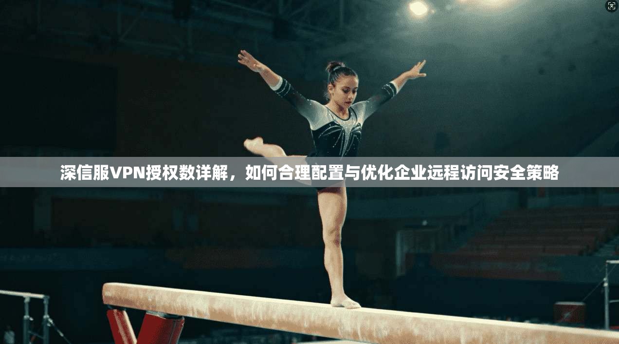 深信服VPN授权数详解，如何合理配置与优化企业远程访问安全策略