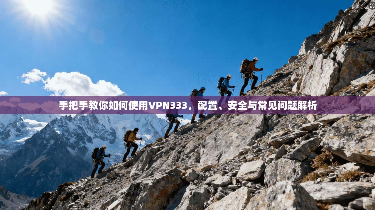 手把手教你如何使用VPN333，配置、安全与常见问题解析