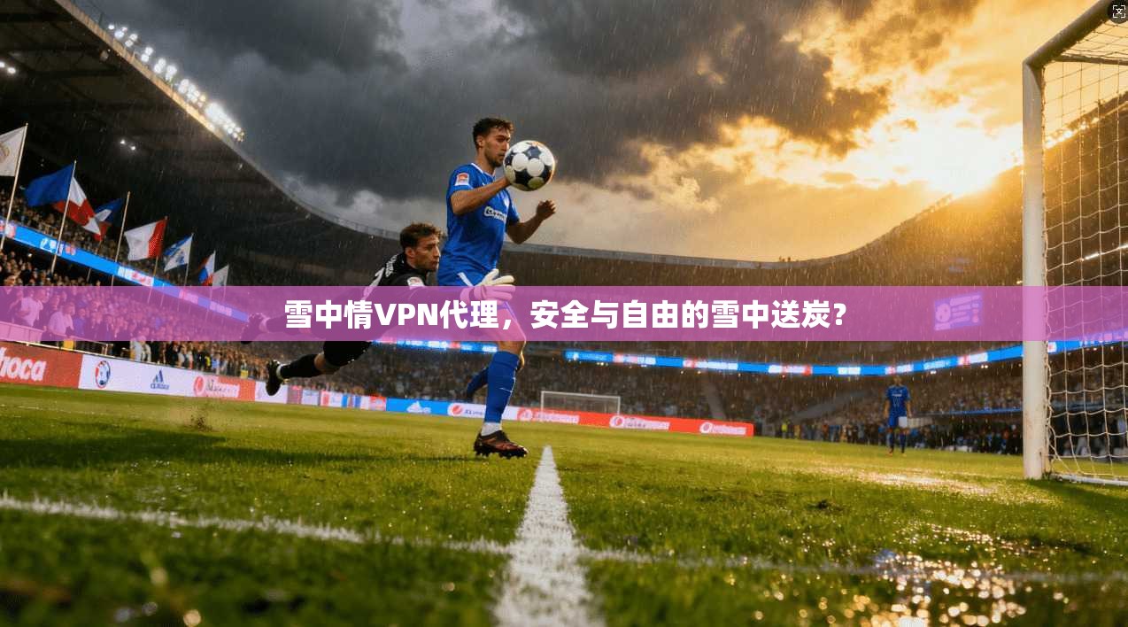雪中情VPN代理，安全与自由的雪中送炭？