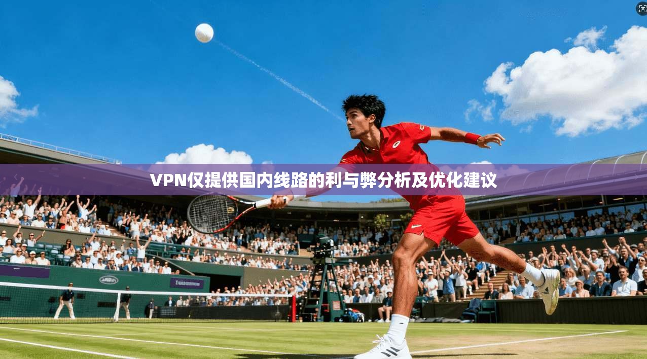 VPN仅提供国内线路的利与弊分析及优化建议