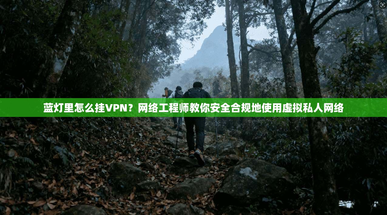 蓝灯里怎么挂VPN？网络工程师教你安全合规地使用虚拟私人网络