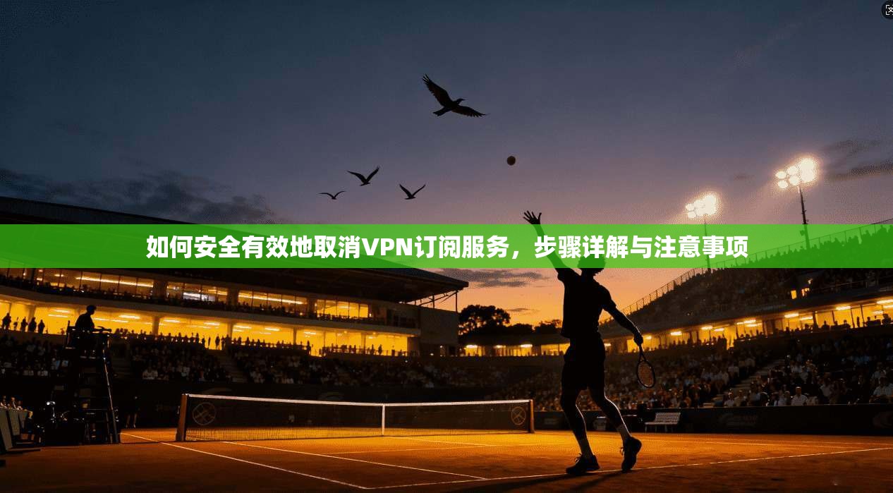 如何安全有效地取消VPN订阅服务，步骤详解与注意事项