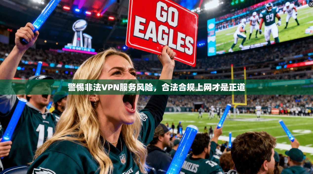 警惕非法VPN服务风险，合法合规上网才是正道
