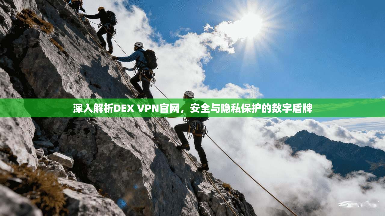 深入解析DEX VPN官网，安全与隐私保护的数字盾牌