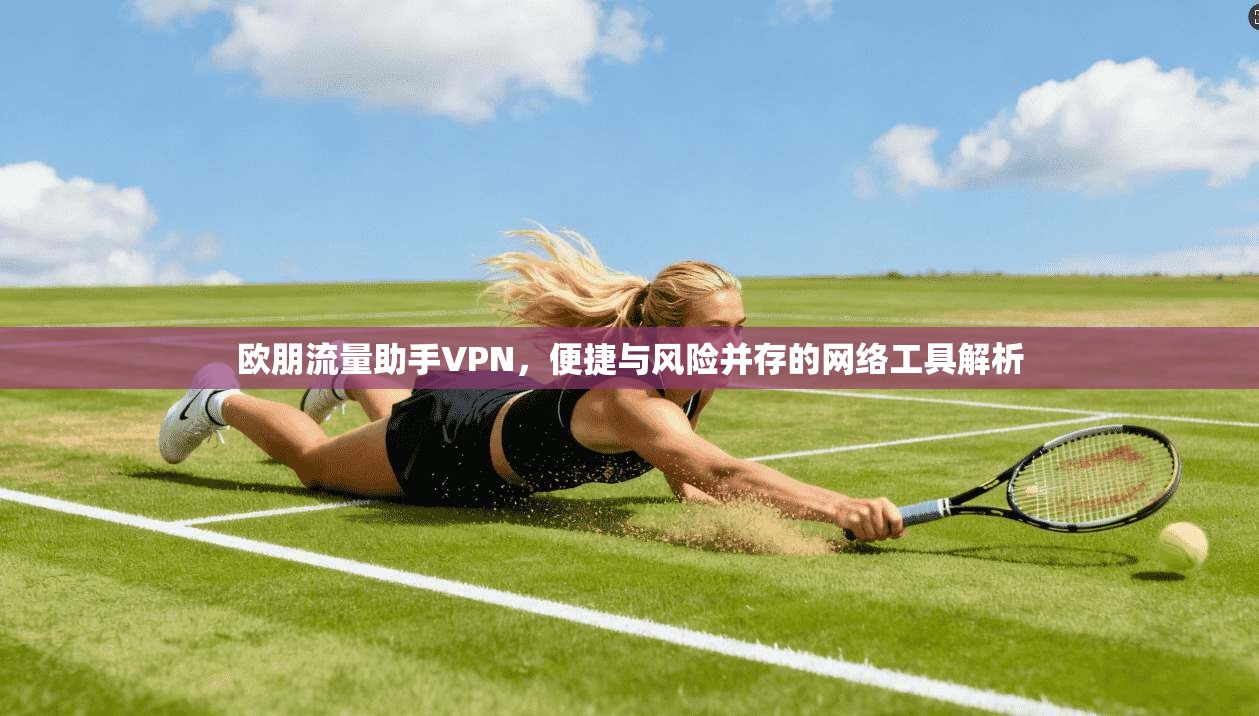 欧朋流量助手VPN，便捷与风险并存的网络工具解析